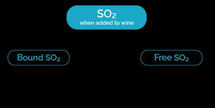 A diagram showing how SO2 behaves when added to wine.