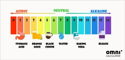 pH scale with product examples