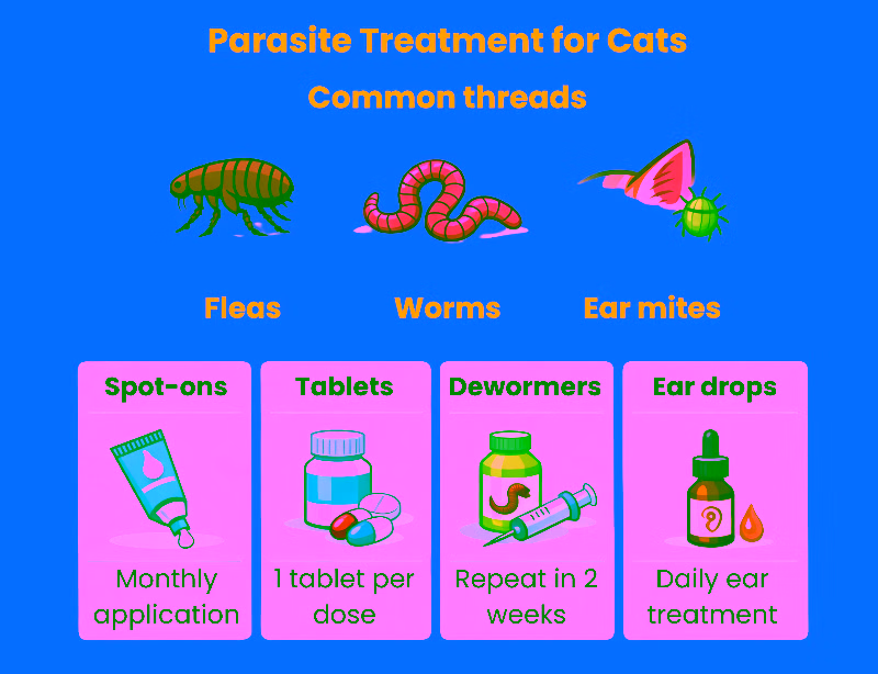 Parasite protection and treatment for cats.