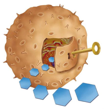 A insulina é mostrada como uma chave que permite que as partículas de glicose entrem na célula
