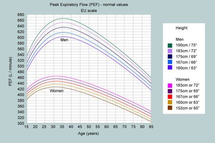 Indringing mout correct Peak Flow Calculator - Estimated Peak Expiratory Flow