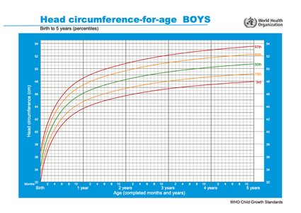 WHO head circumference for age chart - boys