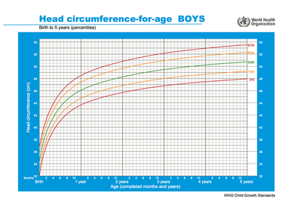 Growth Chart Calculator Percentile Growth Chart Calculator Percentile