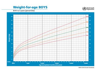 Weight Percentile Calculator Correct