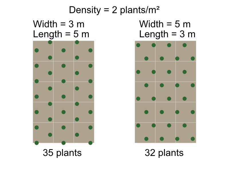 Plant Spacing Calculator