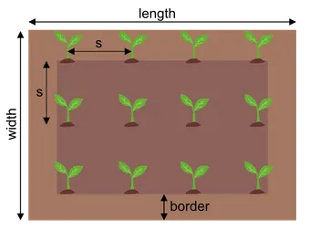 Squared plant spacing grid.