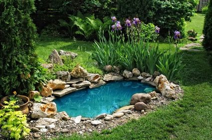 An image of a small garden pond.