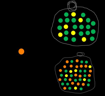 La probabilità di non scegliere una biglia arancione.