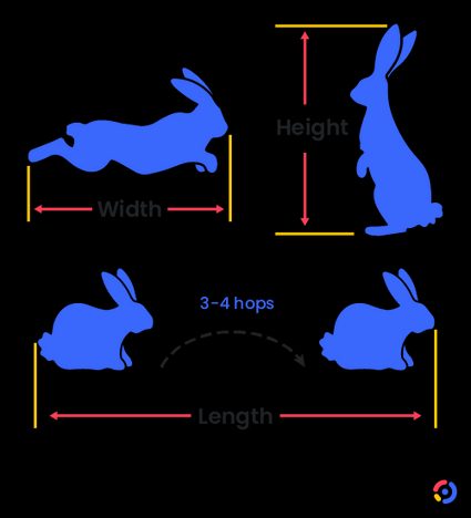 Taking measurements of a rabbit to design a custom cage.