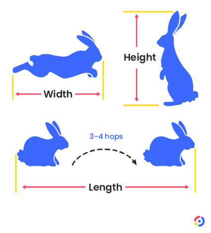 Illustration showing the different dimensions needed for rabbit cage sizing.