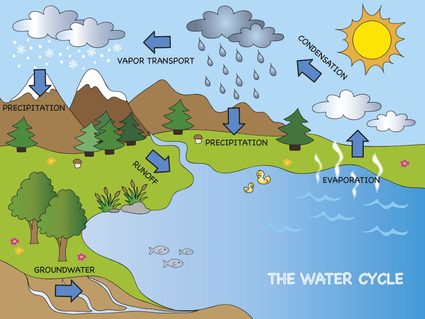 diagram of the water cycle