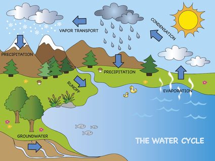 Diagram of the water cycle.