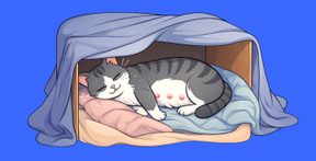 Nesting area in box.