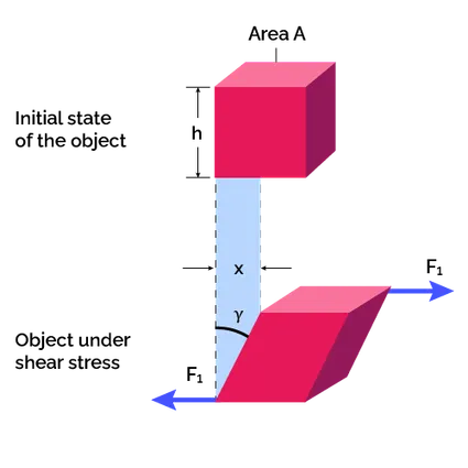 Picture of an object under shear strain.