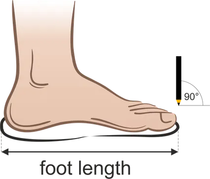 Foot length measurements