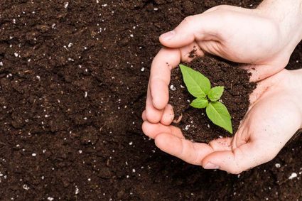 image of hands holding handful of soil