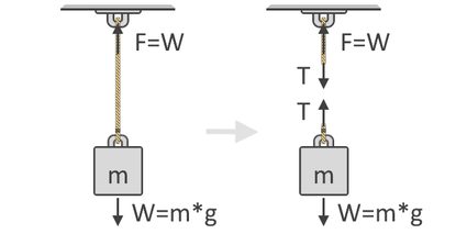 Free-body diagram of a hanging object.