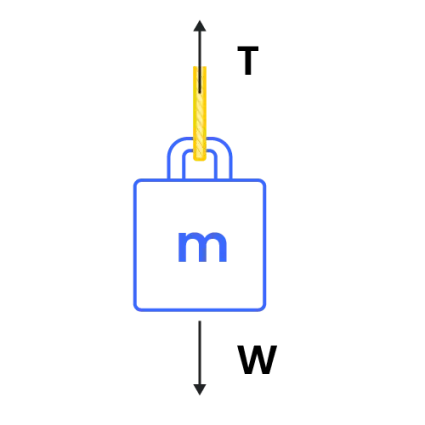 Free-body diagram of an object hanging on a rope.