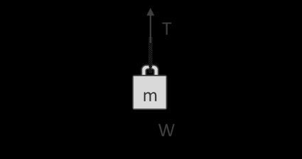 Free-body diagram of an object hanging on a rope.