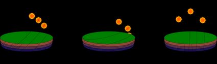 Three suns, three latitudes, three behaviors.