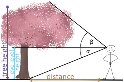 Tree height measurement when tree is on the same level