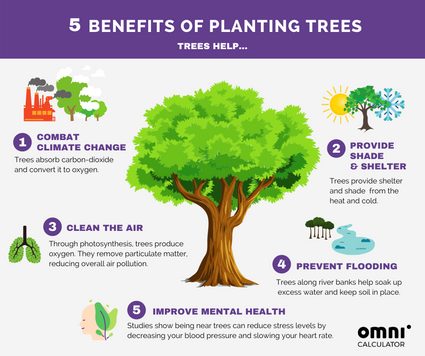 Five benefits of planting trees