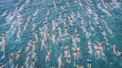 Top view of swimmers in water.