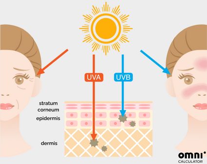 Wpływ promieniowania UVA i UVB na skórę.
