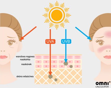 Wpływ na skórę promieniowanie UVA i UVB.