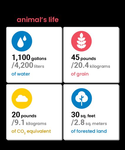 Being a vegan can save water, grain, forests land and lower CO2 emissions.