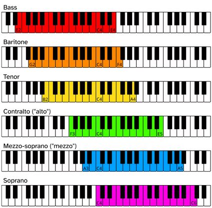 The ranges of the six classical voice types, namely bass, baritone, tenor, alto, mezzo soprano, and soprano.
