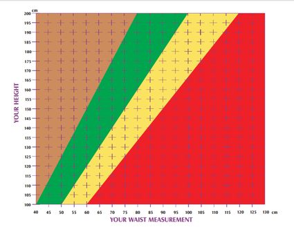 Wykres Ashwell® oparty na stosunku obwodu talii do wzrostu